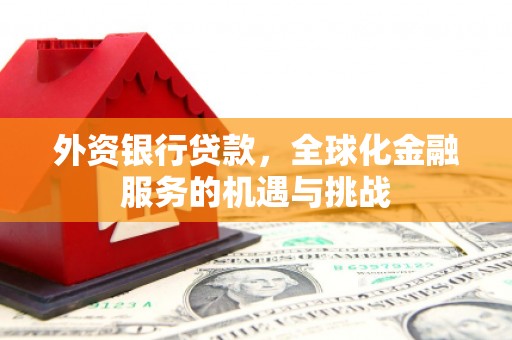 温泉外资银行贷款，全球化金融服务的机遇与挑战