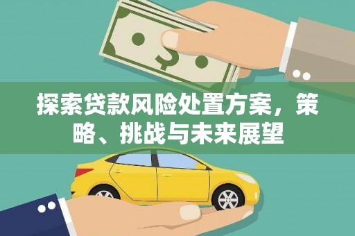 温泉探索贷款风险处置方案，策略、挑战与未来展望