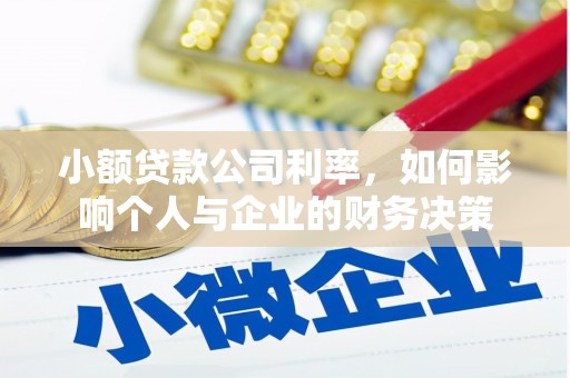 温泉小额贷款公司利率，如何影响个人与企业的财务决策