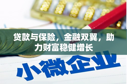温泉贷款与保险，金融双翼，助力财富稳健增长