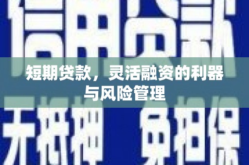 温泉短期贷款，灵活融资的利器与风险管理