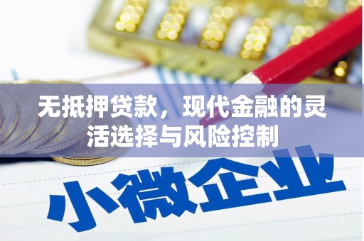 温泉无抵押贷款，现代金融的灵活选择与风险控制