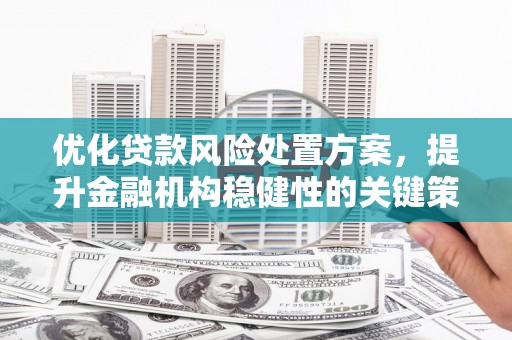 温泉优化贷款风险处置方案，提升金融机构稳健性的关键策略