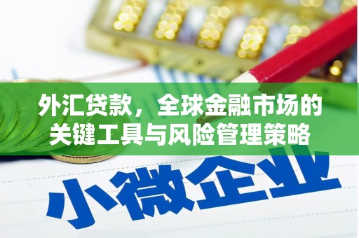 温泉外汇贷款，全球金融市场的关键工具与风险管理策略