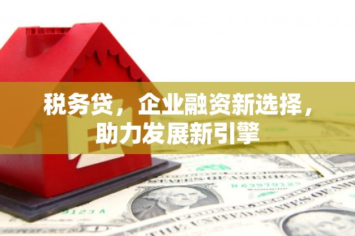 温泉税务贷，企业融资新选择，助力发展新引擎