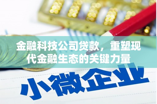 温泉金融科技公司贷款，重塑现代金融生态的关键力量