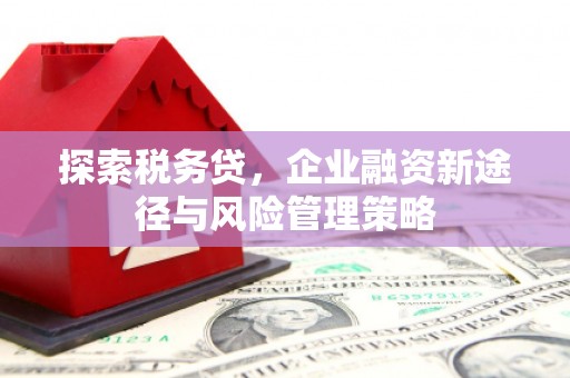 温泉探索税务贷，企业融资新途径与风险管理策略