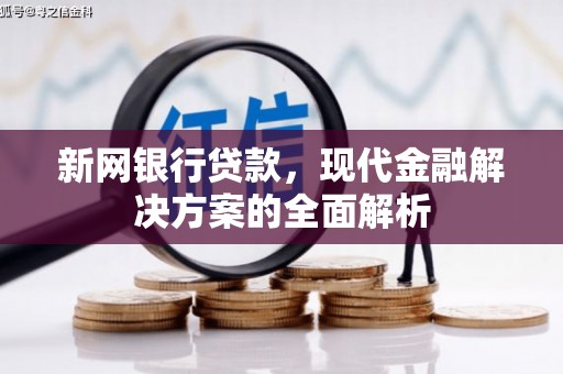温泉新网银行贷款，现代金融解决方案的全面解析