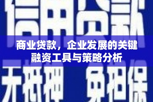温泉商业贷款，企业发展的关键融资工具与策略分析