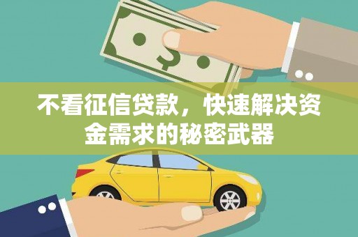 温泉不看征信贷款，快速解决资金需求的秘密武器