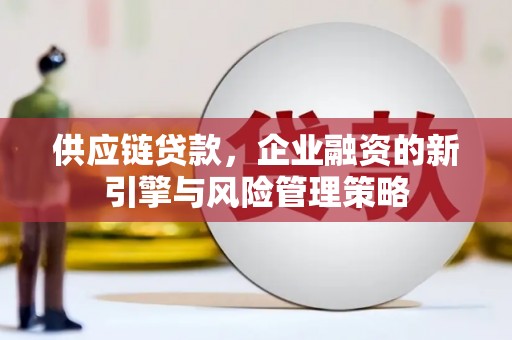 温泉供应链贷款，企业融资的新引擎与风险管理策略