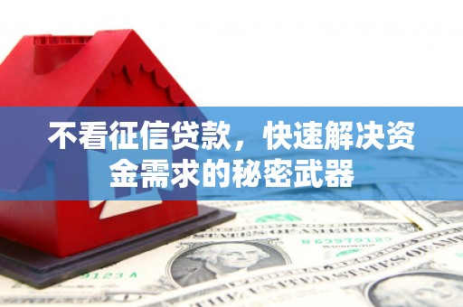 温泉不看征信贷款，快速解决资金需求的秘密武器