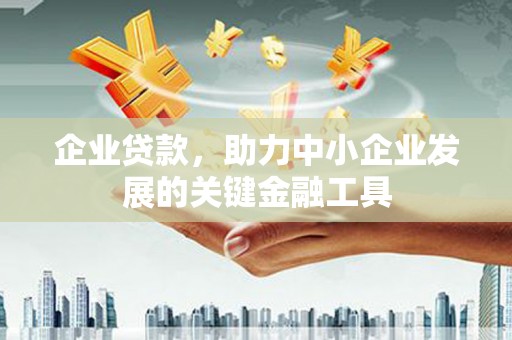 温泉企业贷款，助力中小企业发展的关键金融工具