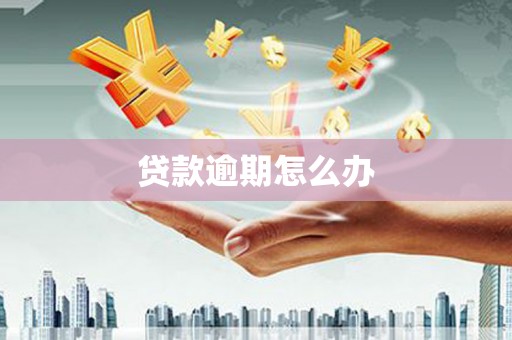 温泉贷款逾期怎么办