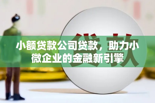 温泉小额贷款公司贷款，助力小微企业的金融新引擎