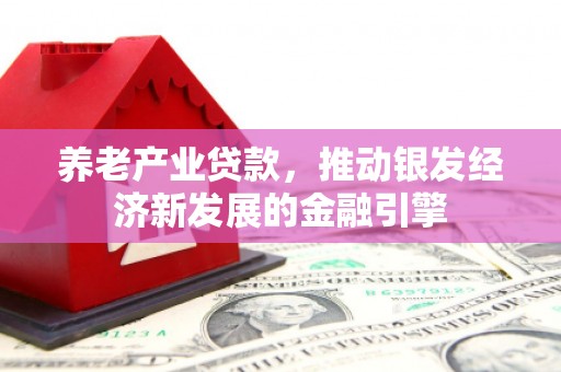 温泉养老产业贷款，推动银发经济新发展的金融引擎