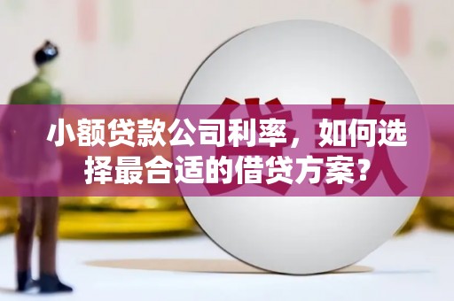 温泉小额贷款公司利率，如何选择最合适的借贷方案？