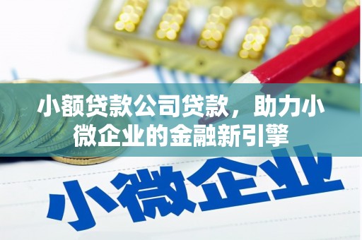 温泉小额贷款公司贷款，助力小微企业的金融新引擎