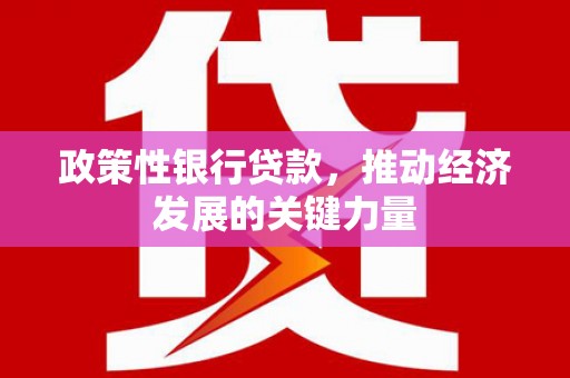 温泉政策性银行贷款，推动经济发展的关键力量