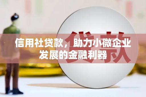 温泉信用社贷款，助力小微企业发展的金融利器