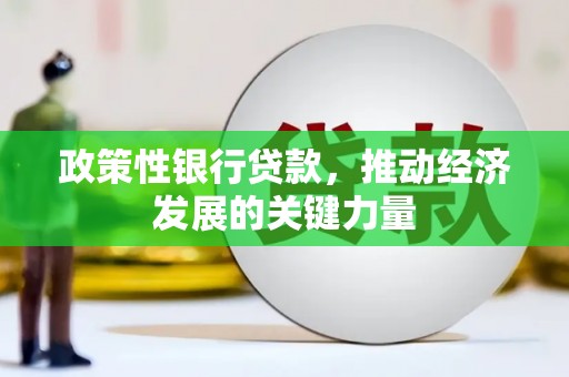 温泉政策性银行贷款，推动经济发展的关键力量