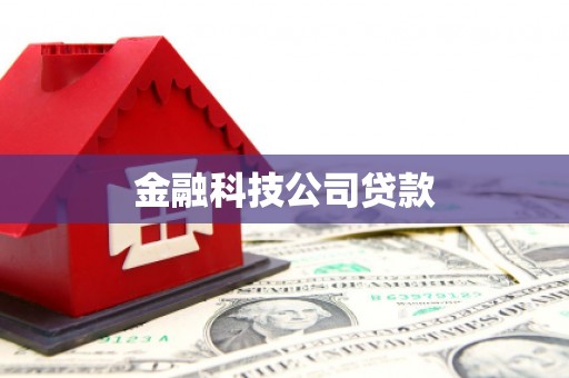 温泉金融科技公司贷款