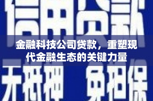 温泉金融科技公司贷款，重塑现代金融生态的关键力量