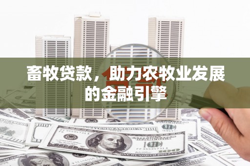 温泉畜牧贷款，助力农牧业发展的金融引擎