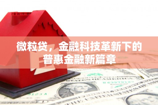 温泉微粒贷，金融科技革新下的普惠金融新篇章