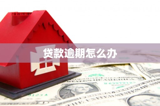 温泉贷款逾期怎么办