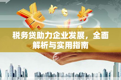 温泉税务贷助力企业发展，全面解析与实用指南