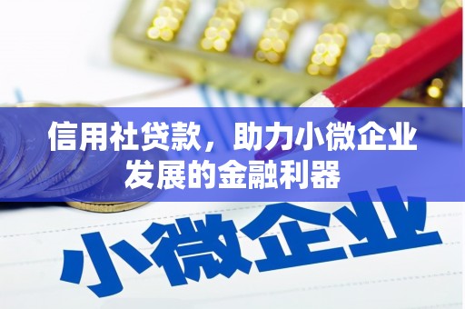 温泉信用社贷款，助力小微企业发展的金融利器