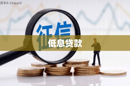 温泉低息贷款