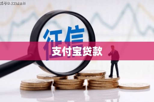 温泉支付宝贷款