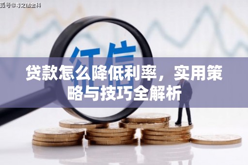 温泉贷款怎么降低利率，实用策略与技巧全解析