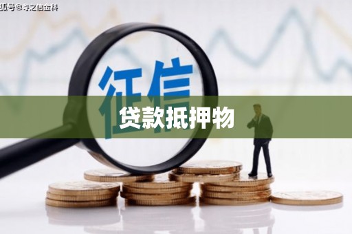 温泉贷款抵押物