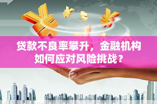 温泉贷款不良率攀升，金融机构如何应对风险挑战？