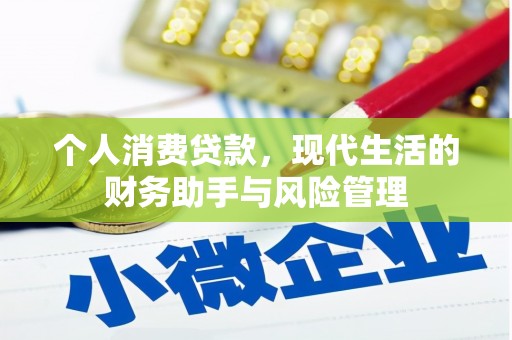 温泉个人消费贷款，现代生活的财务助手与风险管理