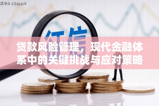 温泉贷款风险管理，现代金融体系中的关键挑战与应对策略