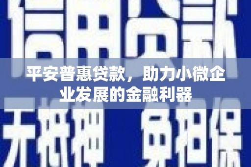 温泉平安普惠贷款，助力小微企业发展的金融利器