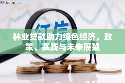 温泉林业贷款助力绿色经济，政策、实践与未来展望