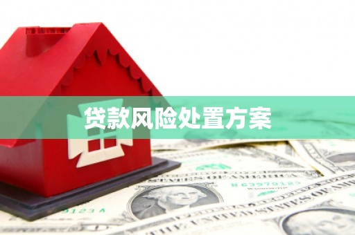温泉贷款风险处置方案