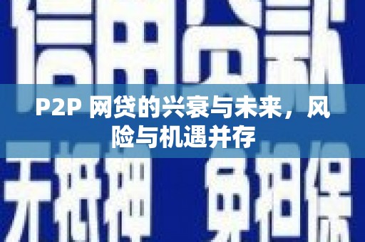 温泉P2P 网贷的兴衰与未来，风险与机遇并存