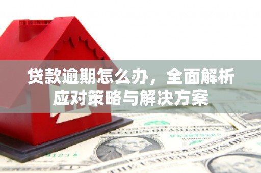 温泉贷款逾期怎么办，全面解析应对策略与解决方案