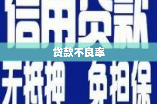 温泉贷款不良率
