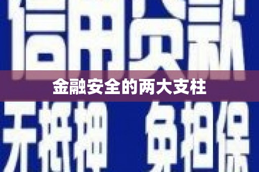 温泉金融安全的两大支柱