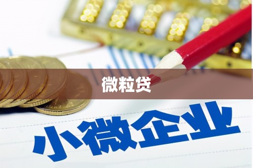 温泉微粒贷