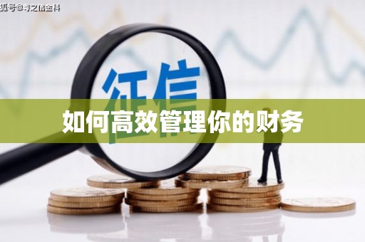 温泉如何高效管理你的财务