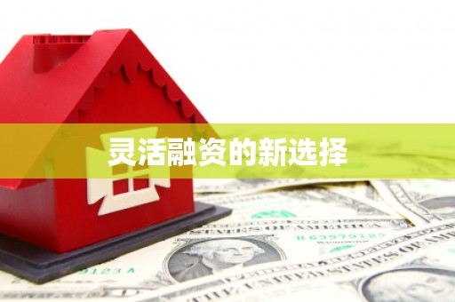 温泉灵活融资的新选择