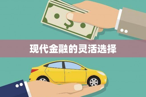温泉现代金融的灵活选择